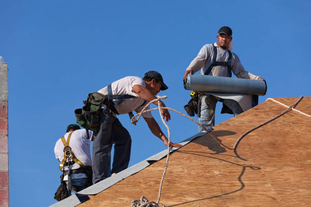 Best Shingle Roofing Installation  in Grosse Pointe Park, MI