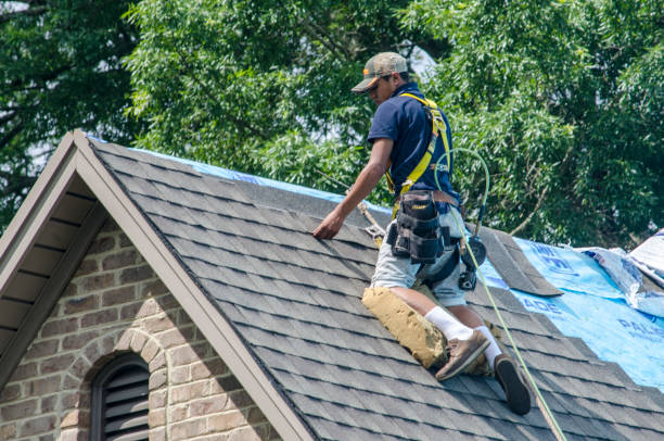 Best Roof Restoration Services  in Grosse Pointe Park, MI
